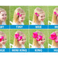 Wee Ones Girls' Medium Bow 3 Pc Set Solid Grosgrain Variety Pack On A Weestay No-Slip Hair Clip - Light Pink, Hot Pink And Shock