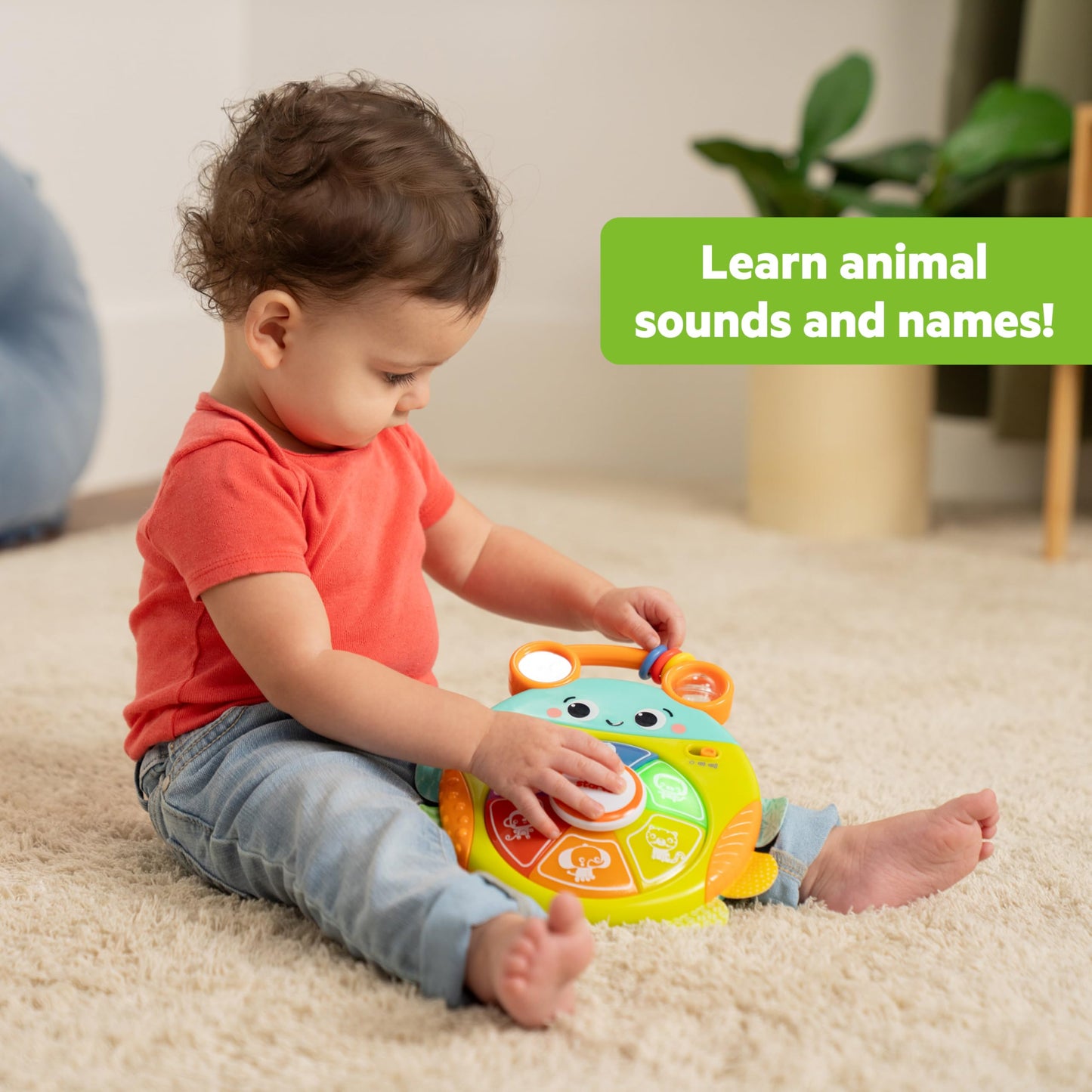Bright Starts Safari Surprise Multisensory Toy, Light-Up Electronic Baby Toy with Animal Sounds and Melodies, Press for Cause an