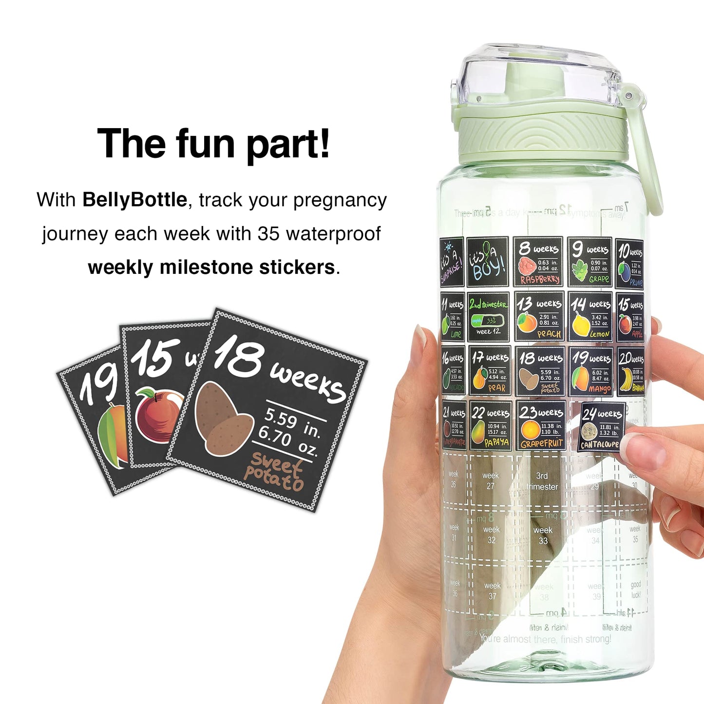 BellyBottle Pregnancy Water Bottle Tracker Must Haves for Expecting Moms Nausea Relief + Straw + BPA Free Green
