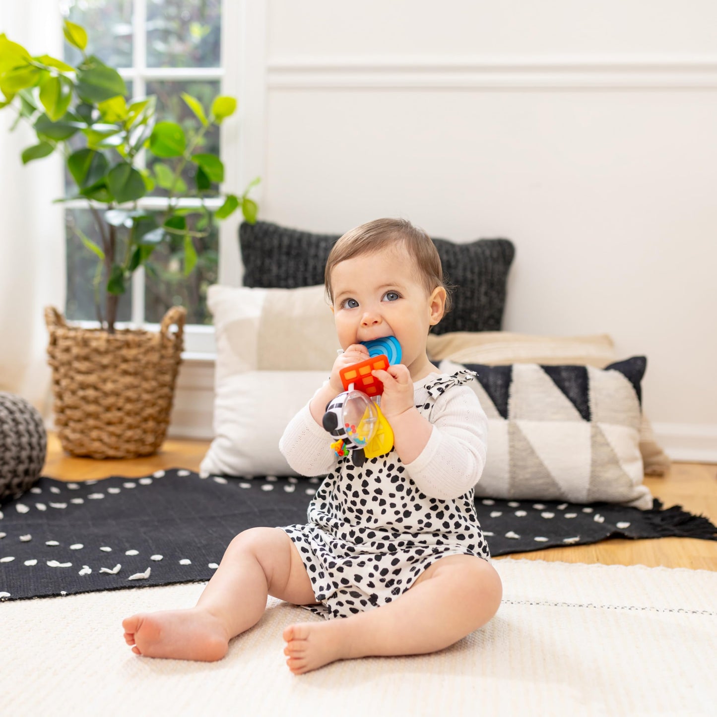 Baby Einstein Shake-a-Shape Zen Teether Toy, Multisensory, Ages 3 Months and Up