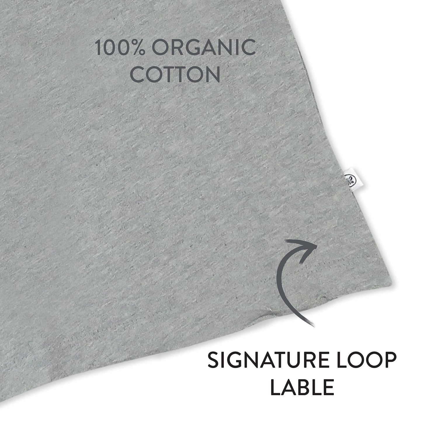 Honestbaby Organic Cotton Short Sleeve T-Shirt Multi-Packs, 10-Pack Rainbow Boy, 6-9 Months