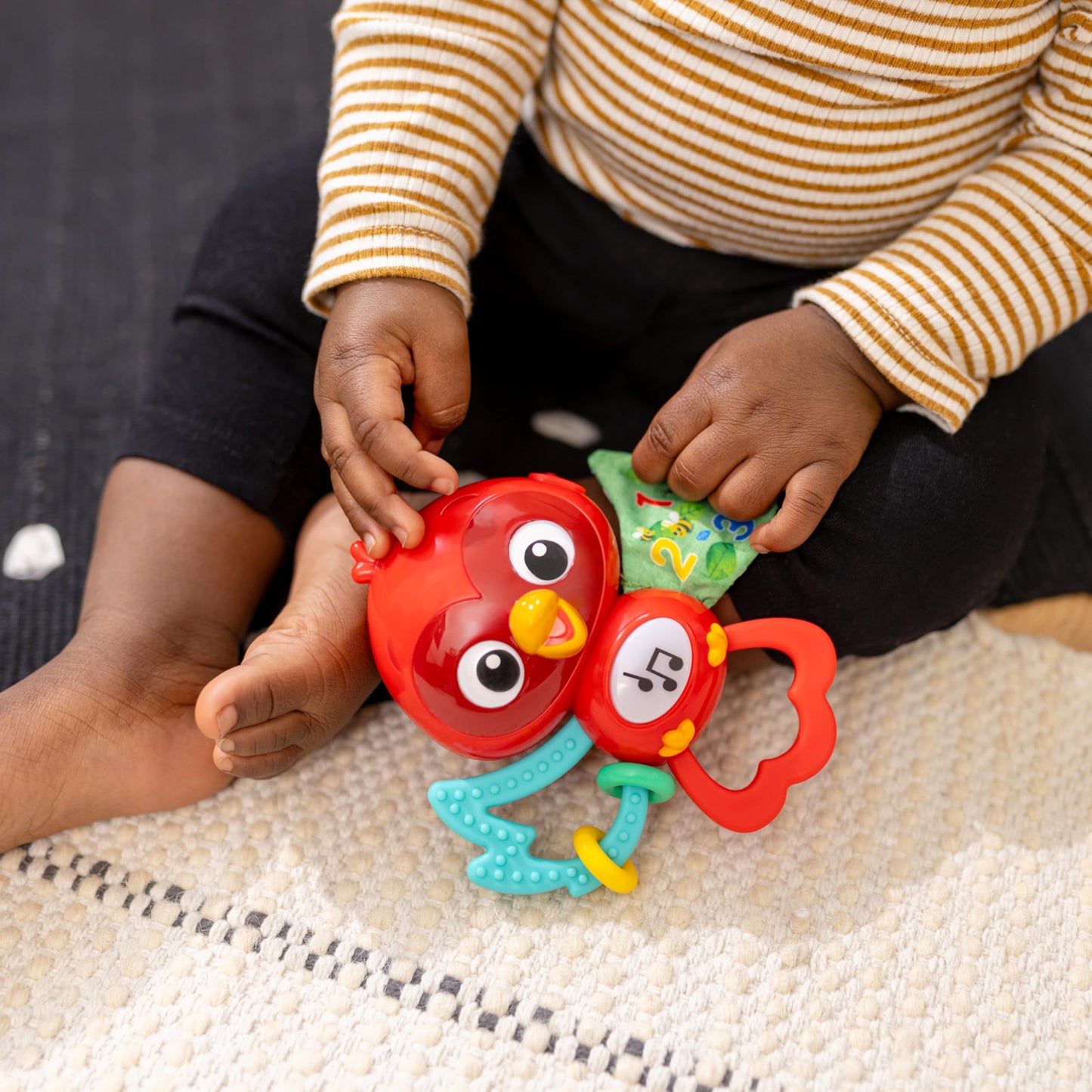 Baby Einstein Roxys Bright Flight Musical Toy, Multisensory, Ages 3 Months and Up