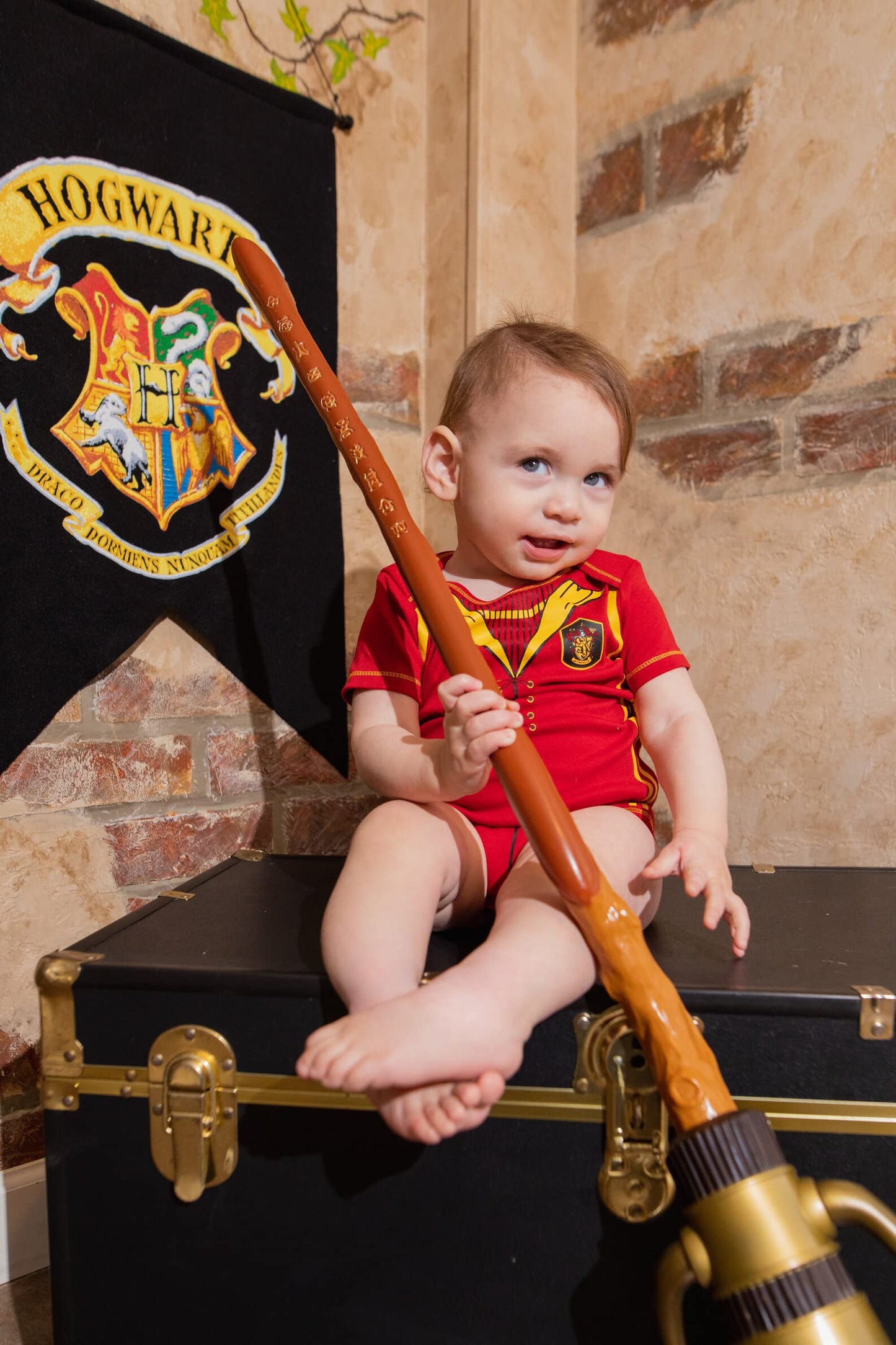 Warner Bros. Harry Potter Baby Boys' 5-Pack Bodysuits Hogwarts Gryffindor (0-3 Months)