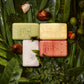 Natura - Ekos Ucuuba, Castanha, Andiroba, Maracuj   Bar Soap Set (4 Pack) - 1 Exfoliating Bar, 3 Other Bars - Vegetable Oils - V