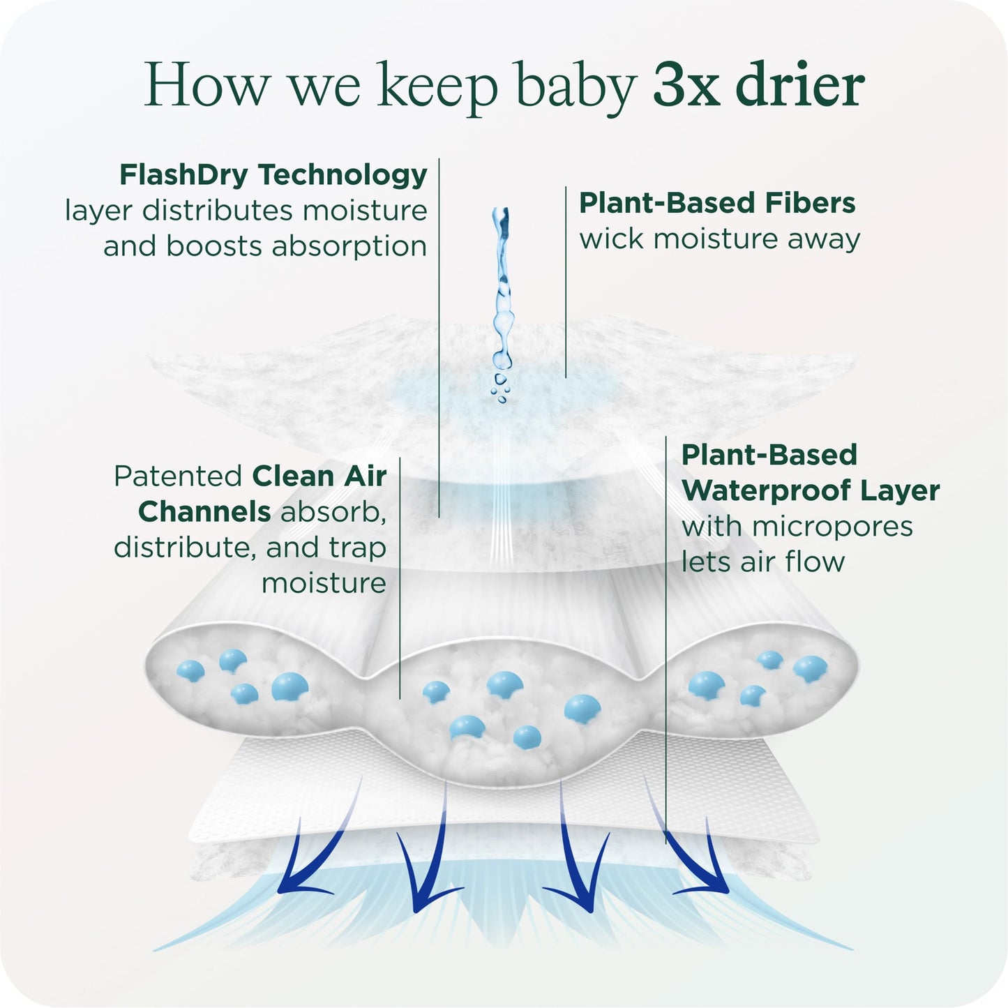 Healthybaby Our Diapers | Ewg Verified Safe & Plant-Based Diapers | Absorbent For Leak Protection | Soft Organic Cotton Shell |