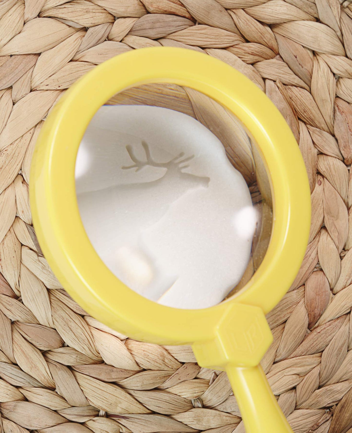 Yellow Door Lets Investigate Polar Footprints, Set of 8