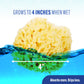 Baby Buddy Natural Wool Sea Sponge, Newborn Bath Time Essential, Ultra Soft For Delicate Skin, Hypoallergenic And Biodegradable,