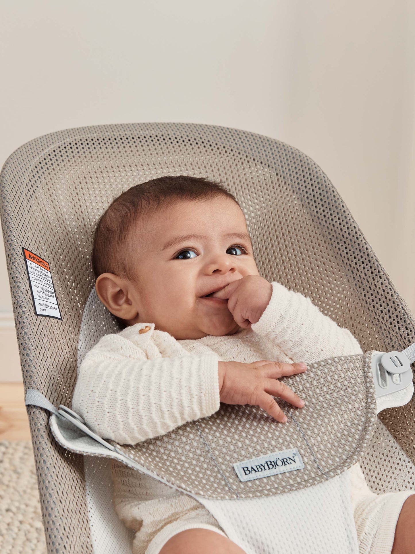 Babybjrn Bouncer Balance Soft, Light Grey Frame, Mesh, Gray Beige/White (005144Us)