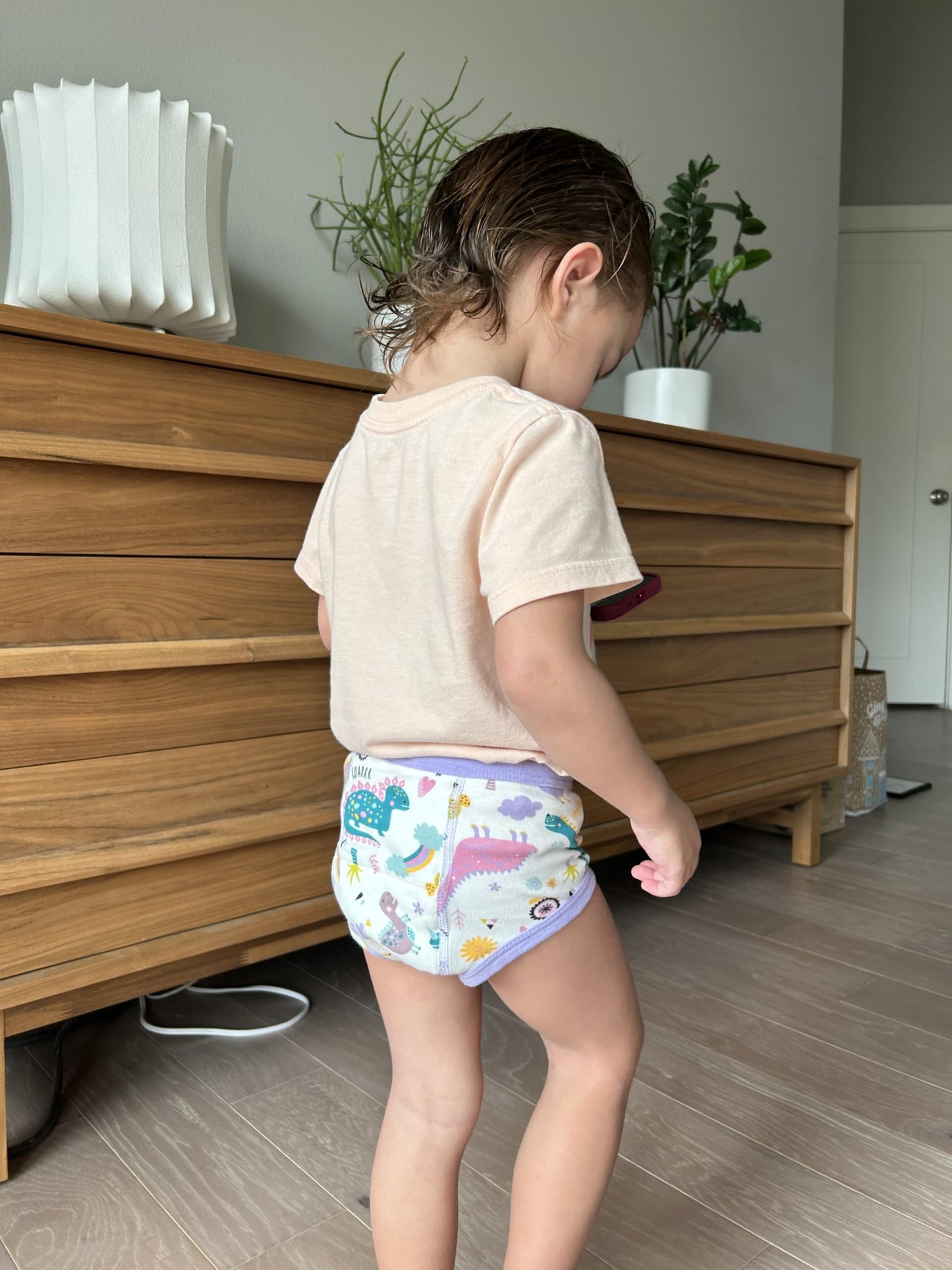 Moomoo Baby Training Underwear 10 Packs Absorbent Potty Training Pants For Boys And Girls Cotton Pee Pants 7T