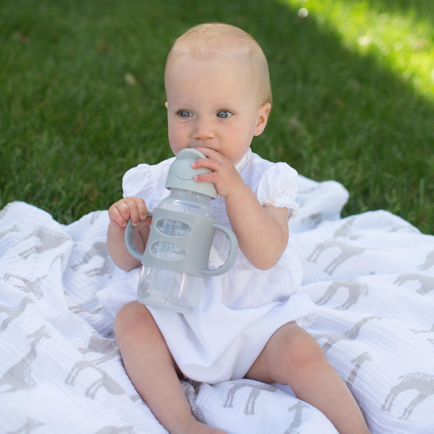 Dr. Browns Milestones Wide-Neck Sippy Straw Bottle With 100% Silicone Handles, 9Oz/270Ml, Gray, 1 Pack, 6M+