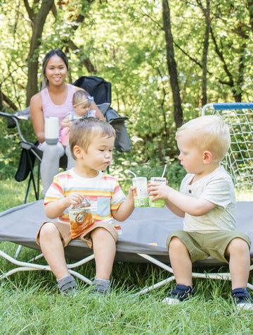Regalo My Cot Twin Portable Toddler Bed, Includes Fitted Sheet, Gray