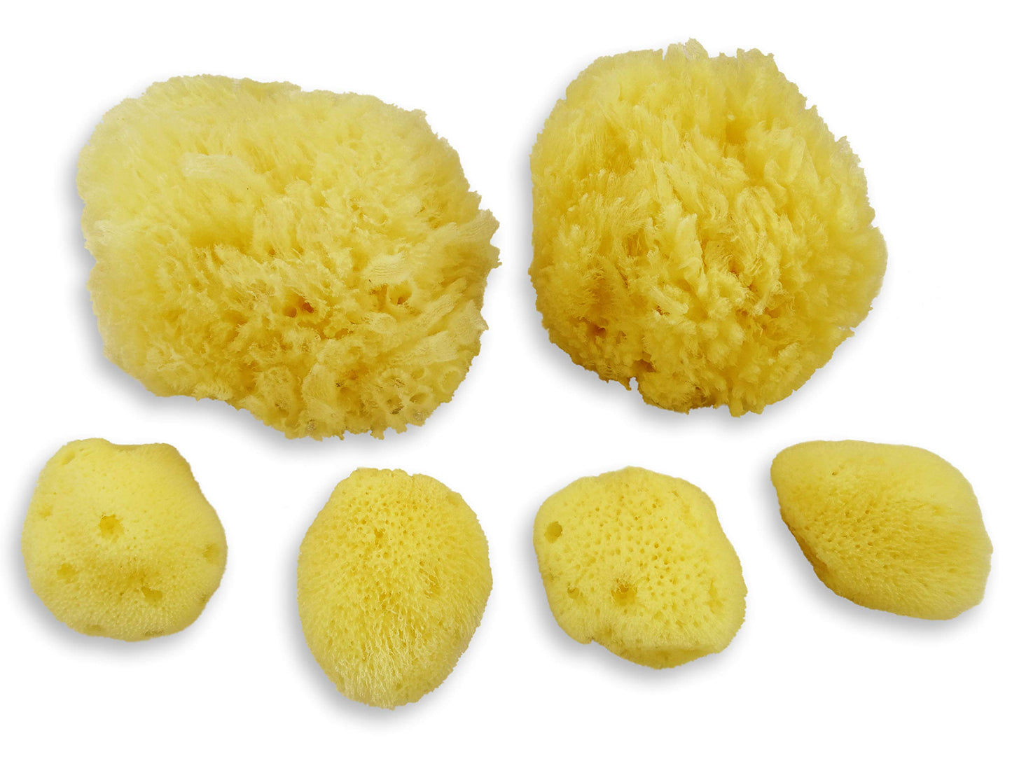 Real Sea Sponges For Babies - 6 Pk Bath Care Set, Gentle, Kind On Skin, For Bathing Washing Body Eyes, Ears Nose, Also For Newbo