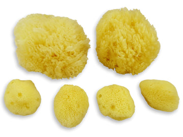 Real Sea Sponges For Babies - 6 Pk Bath Care Set, Gentle, Kind On Skin, For Bathing Washing Body Eyes, Ears Nose, Also For Newbo