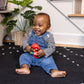 Baby Einstein Roxys Bright Flight Musical Toy, Multisensory, Ages 3 Months and Up