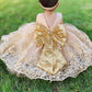 Baby Girls Embroidery Lace Dresses Toddler Ruffles Infant Easter Tutu Birthday Dress With Headwear (Golden,70)