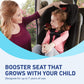 Graco Tranzitions 3-In-1 Harness Booster Car Seat, Forward Facing Car Seat, Highback, To Backless Booster, Cinder