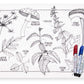 Modern-Twist Waterproof, Dishwasher Safe Mark, Mat & Marker Set, Dangerous Plants