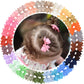 Baby Hair Clips for Girls 50PCS - 2 Girls Fully Lined Bows Hair Pins Tiny Hair Bows Alligator Clips for Baby Girls Infants Toddl