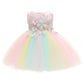 Weileenice Princess Baby Girl Rainbow Dress Holiday Pink Lace Flower Embroidery Infant Christening Baptism Outfit 6M/ 6-12 Toddl
