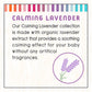 Little Twig Calming Lavender Shampoo, Hair Shampoo With Natural Plant Derived Formula, Vegan, Gluten-Free, Perfect For Newborns,