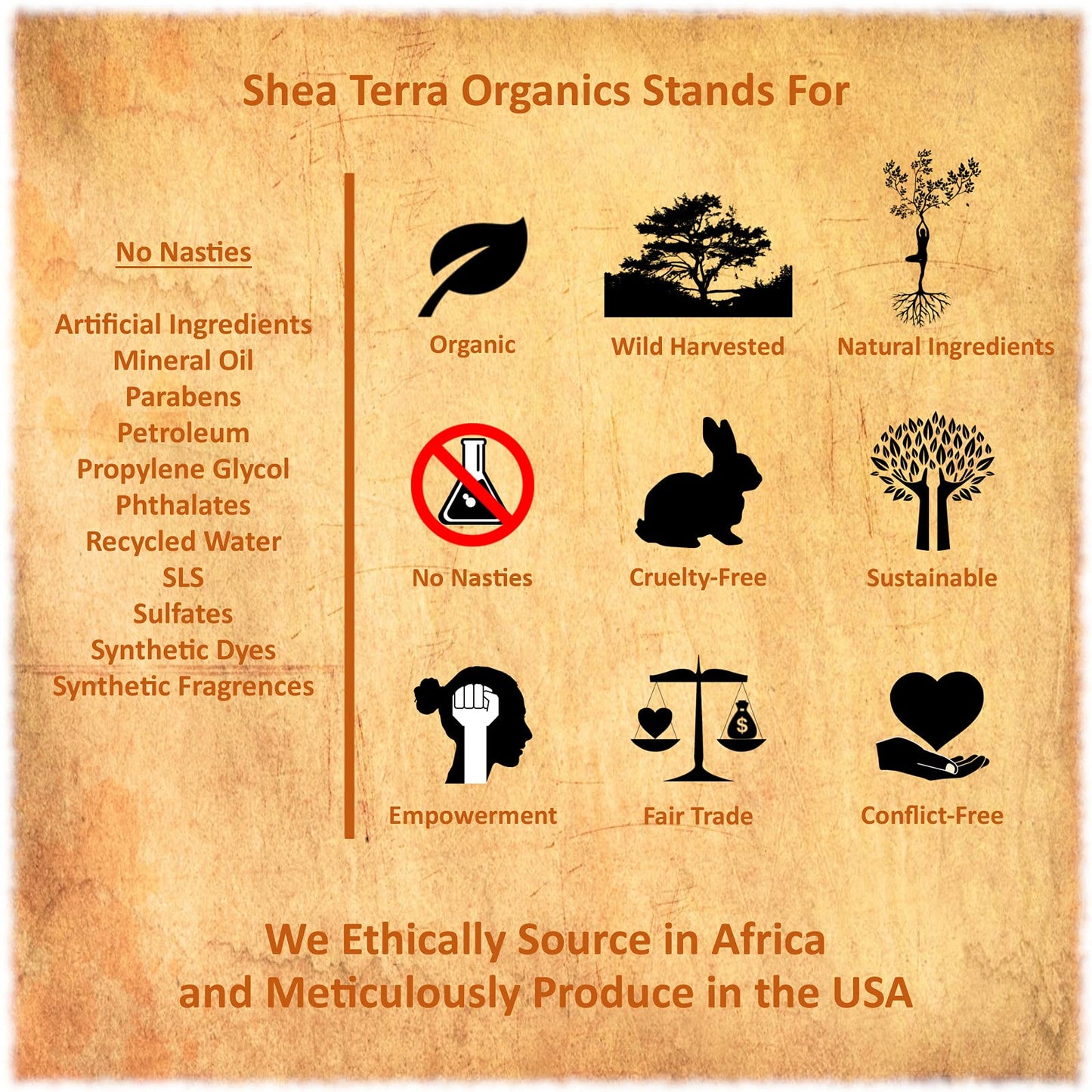 Shea Terra Organics Mama And Baby Collection | Bananas & Monkey Bread Baby Oil | Non Toxic All Natural Baobab And Shea Butter Oi