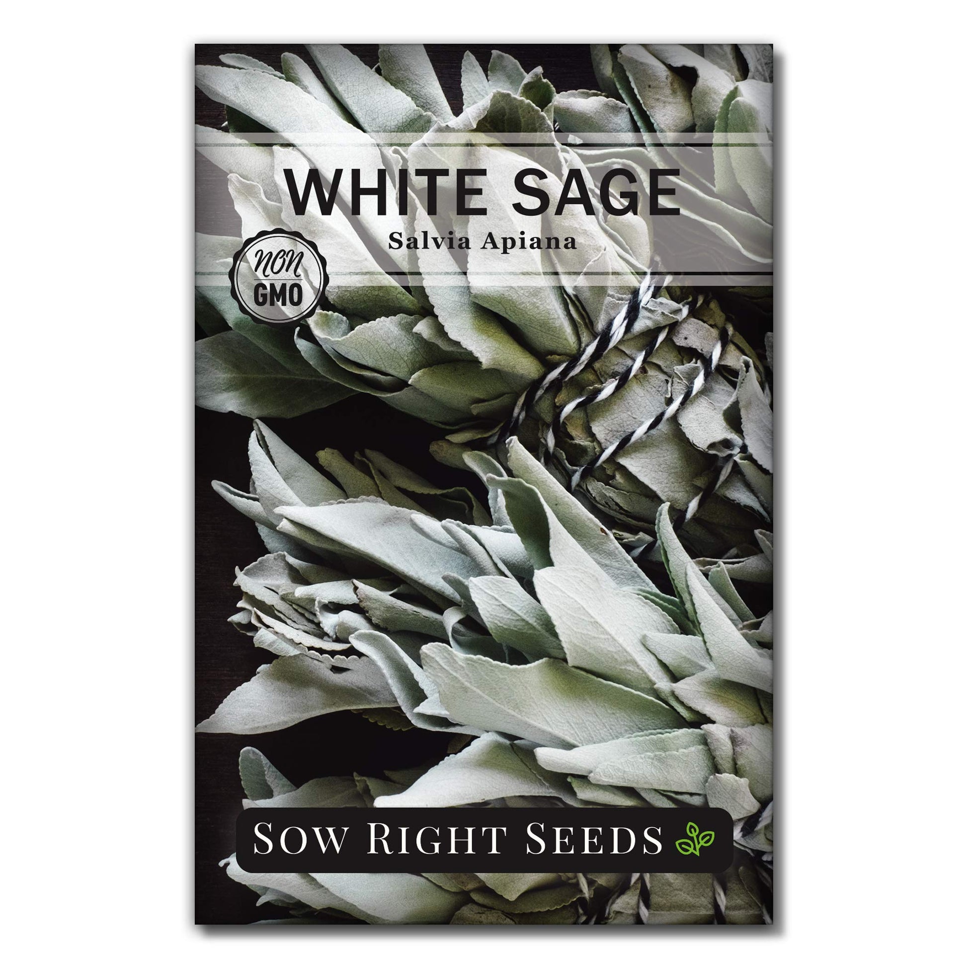 Sow Right Seeds - White Sage Seed To Plant - Non-Gmo Heirloom Seeds - Full Instructions For Planting And Growing, Indoors Or Out