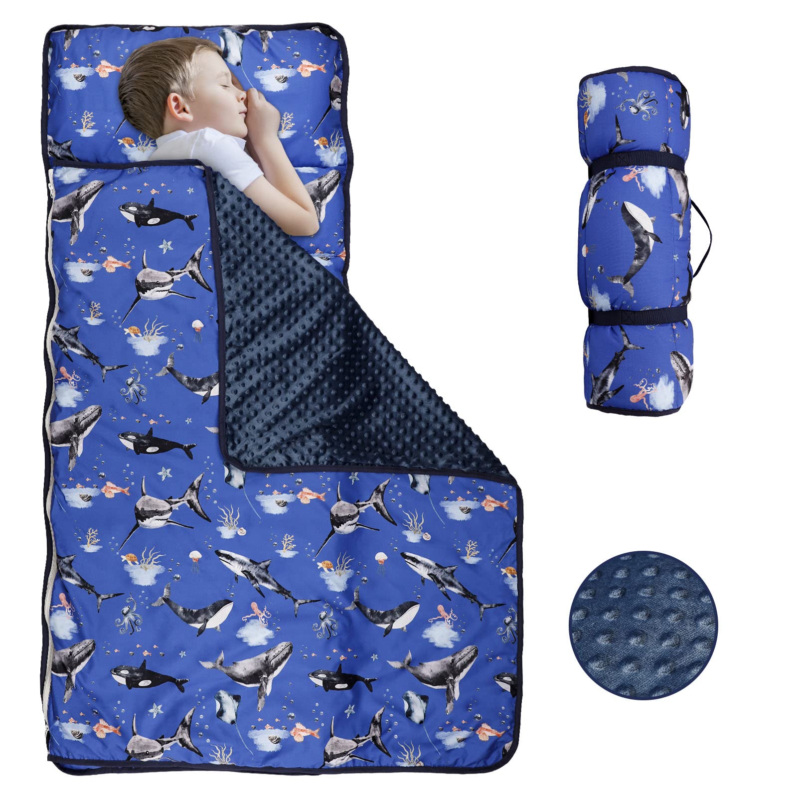 Toddler Nap Mat With Removable Pillow And Soft Dot Minky Blanket, Pea Pod Kids Shark Napping Mats Extra Large Rolled Slumber Bag