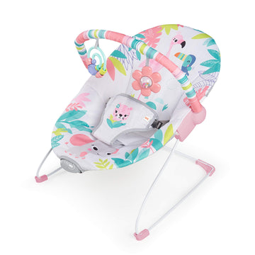 Bright Starts Baby Bouncer Soothing Vibrations Infant Seat - Removable-Toy Bar, Nonslip Feet, 0-6 Months Up to 20 lbs (Flamingo 