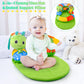Aranee 2-In-1 Tummy Time Mat & Seated Support Pillow Baby Toys 6-12 Months, Baby Tummy Time Toys Sit Me Up Floor Seat For Newbor