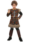 Fun Costumes Fighting Viking Boys Costume - Brown, Small