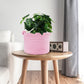 Abenkle Small Woven Basket, Cotton Rope Shelf Storage Basket, Small Round Basket, Cute Baby Basket, Decorative Round Bin For Nur
