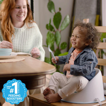 Ingenuity: Ity By Ingenuity Simplicity Seat Easy-Clean Baby Booster Feeding Chair, 3-Point Harness, Washable Removable Straps -
