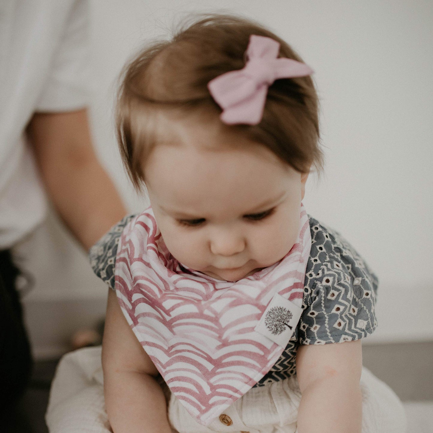 Parker Baby Girl Bows Clips, Assorted 10 Pack Of Hair Accessories For Girls -'The Anne Set'