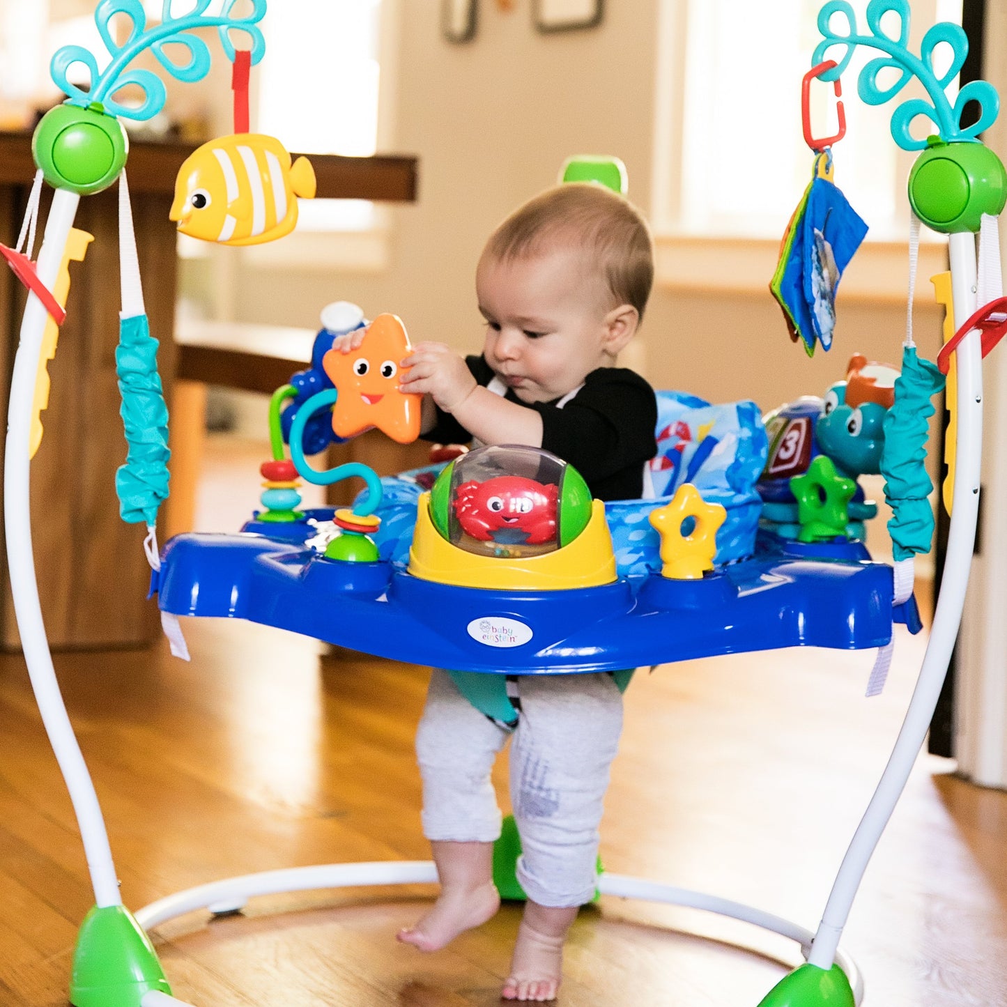 Baby Einstein Neptunes Ocean Discovery Activity Jumper, Ages 6 months +, Max weight 25 lbs., Unisex