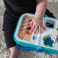 Baby Einstein + Hape Magic Touch Pretend to Shop Learning Toy, With Real Sounds and Music, Fine Motor Skill Development, Grows f
