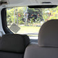 Ethan & Emma Baby On Board Sticker For Cars - See-Thru Safety Stickers - Unobstructed View, Removable And Will Not Fade - Stays