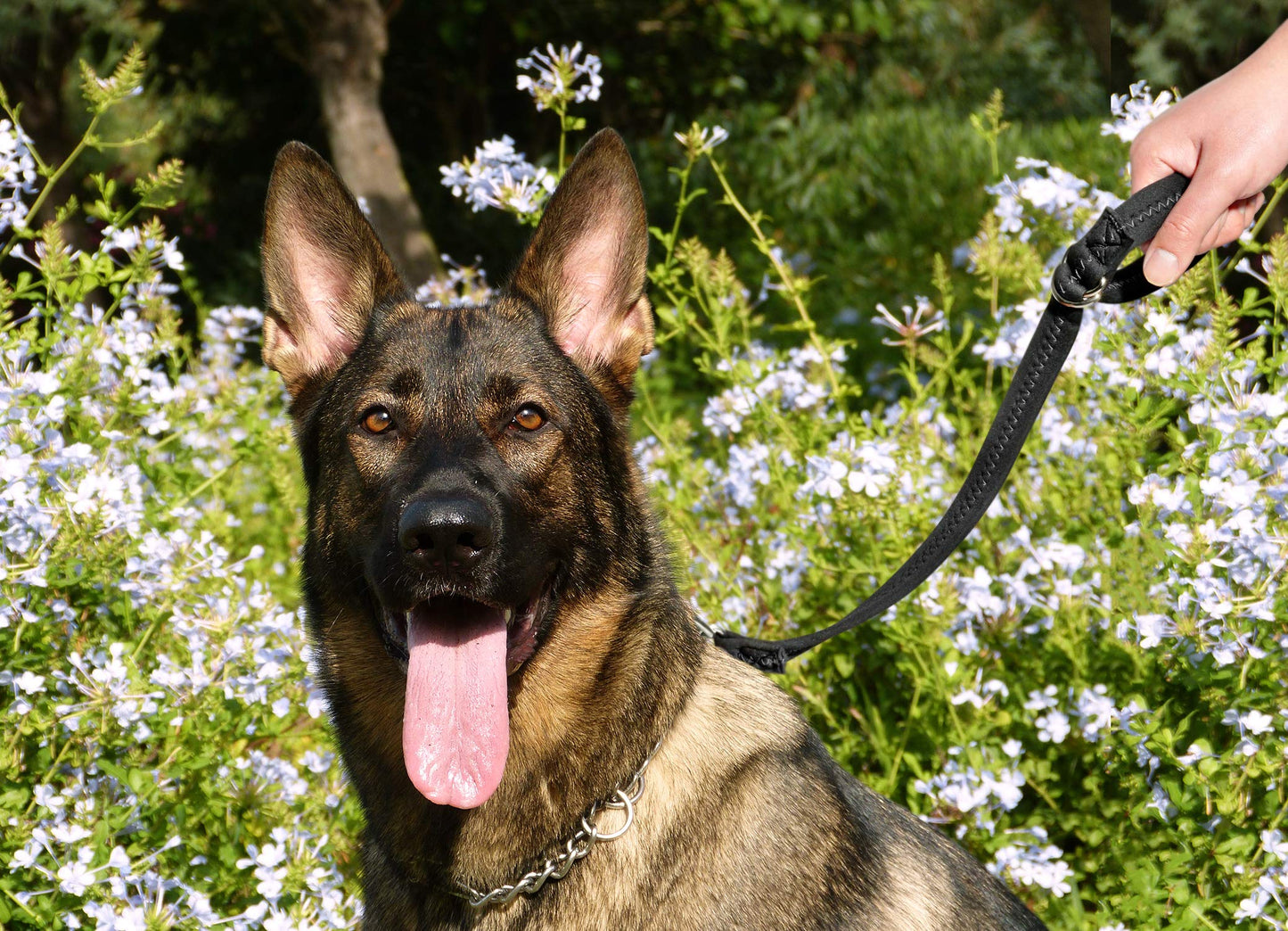 Baby Stroller Pram Wheelchair Safety Wrist Strap Or Short Leash For Dog(Black) Pack Of 1