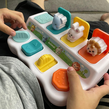 Cause-And-Effect Toy for toddlers 2-3 - Developmental Toy With Buttons & Colors - Color Sorting Animal Toys - For Kids, Toddlers