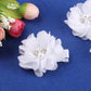 Baby Girls Chiffon Flower Hair Clips With Rhinestones And Pearl,Yycraft 10 Pcs Party Wedding 2' Hair Accessory For Kids Toddler