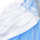 Tyhtym Cinderella Costumes Girl Dress Up Puffy Sleeves Pageant Party Halloween Fancy Ball Gown (2-3T, Blue)