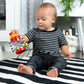 Baby Einstein Cals Sensory Shake-up Developmental Activity Rattle Toy, BPA Free, for Infants Ages 3 Months and up