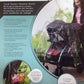 Zobo Travel System Weather Shield