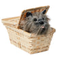 Rubies The Wizard of Oz: Toto in a Basket Costume Accessory for Kids or Adults, Unisex No Size