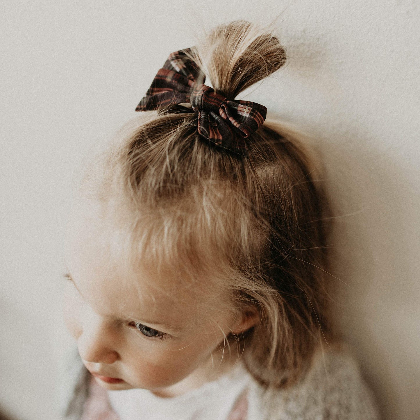 Parker Baby Girl Bows Clips, Assorted 10 Pack Of Hair Accessories For Girls -'The Anne Set'