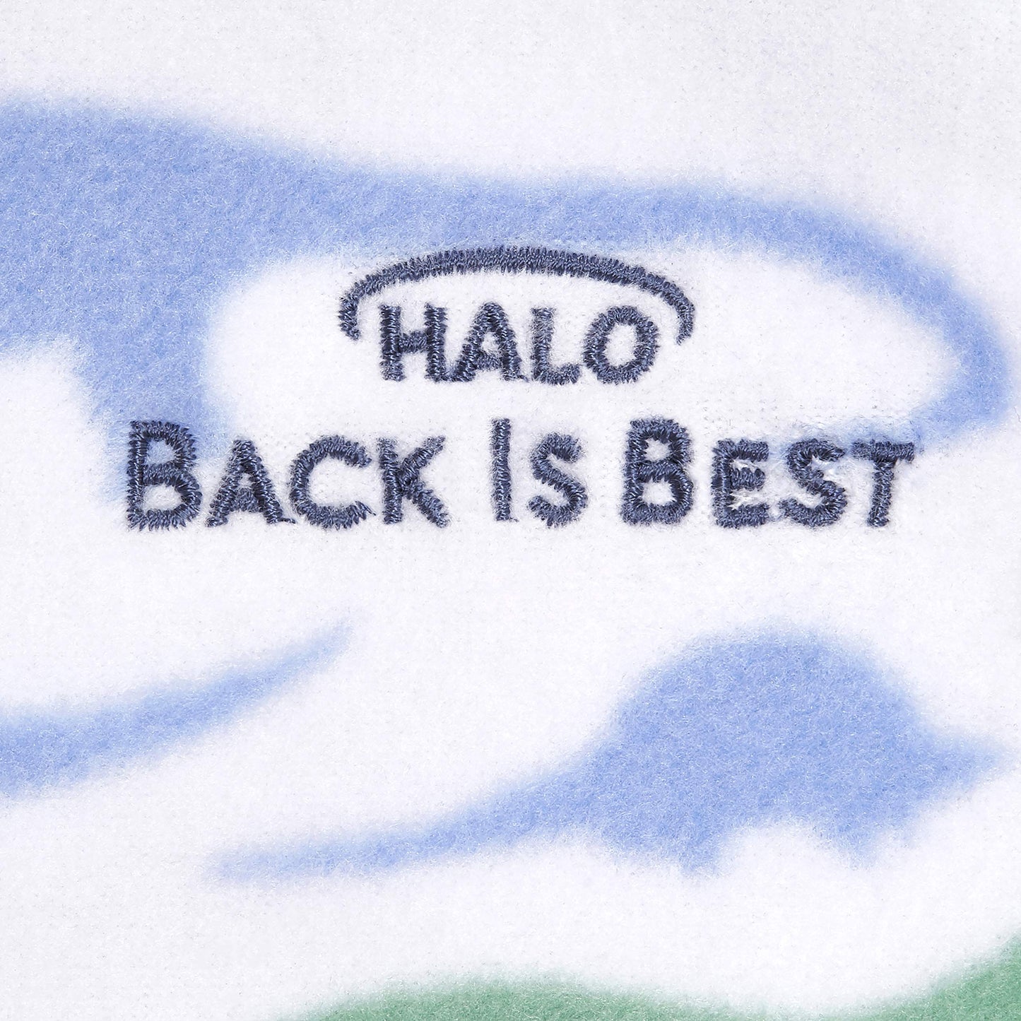 HALO Sleepsack 100% Cotton Wearable Blanket Micro-Fleece, TOG 1.0, Dinos, Medium