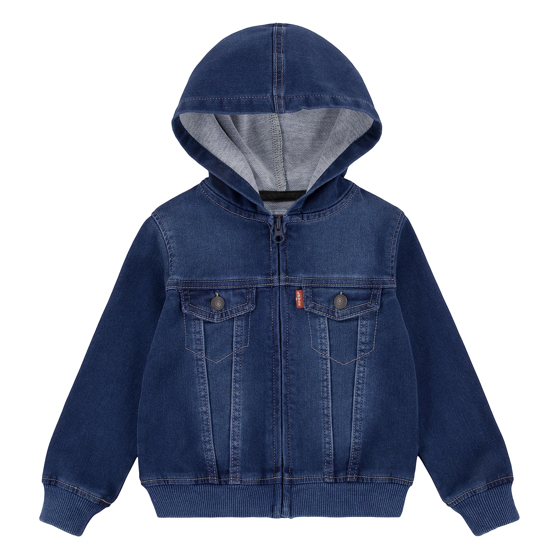 Levi'S Baby Boys Hoodie, Waverly, 24M
