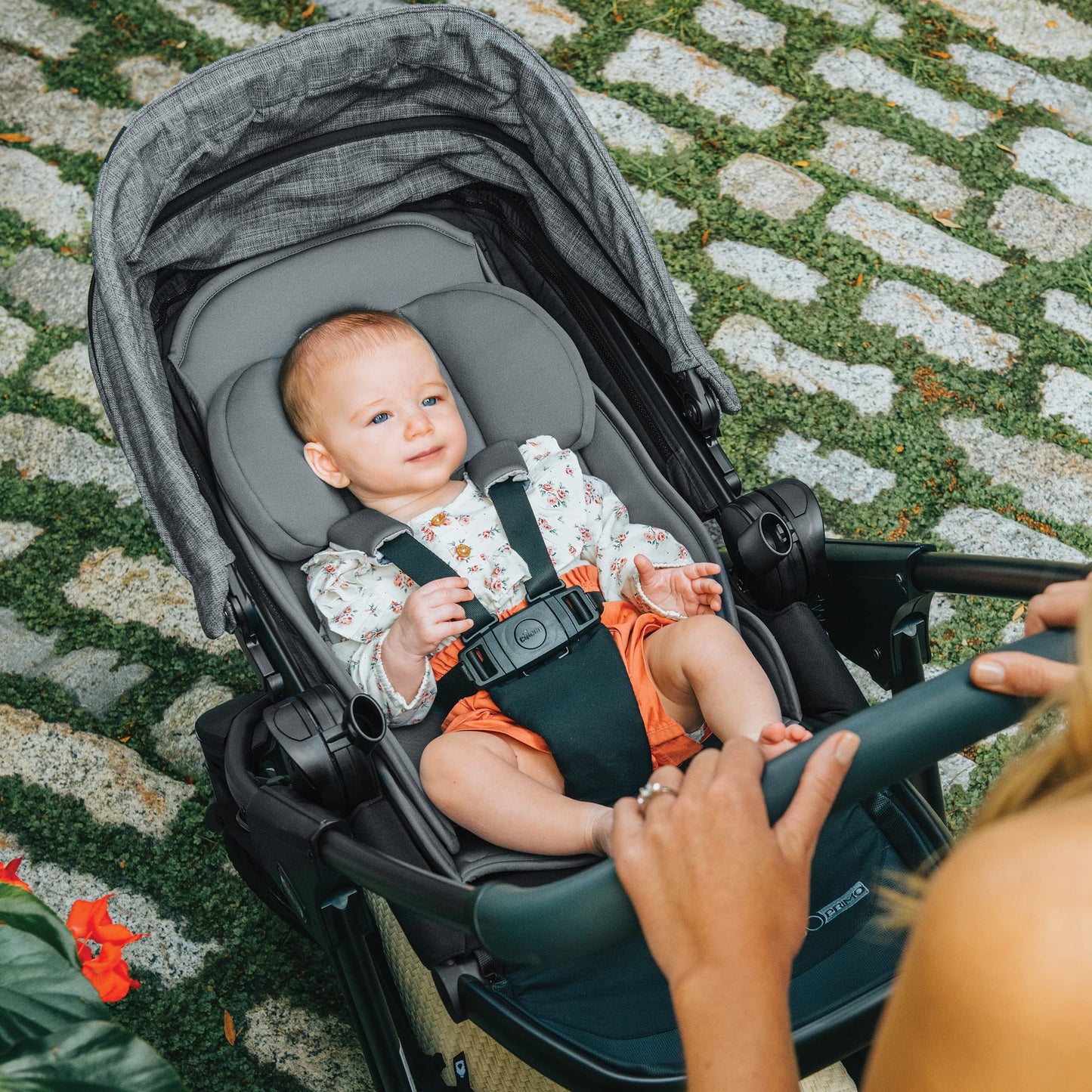 Chicco Corso Primo Cleartex Travel System - Aspen | Black