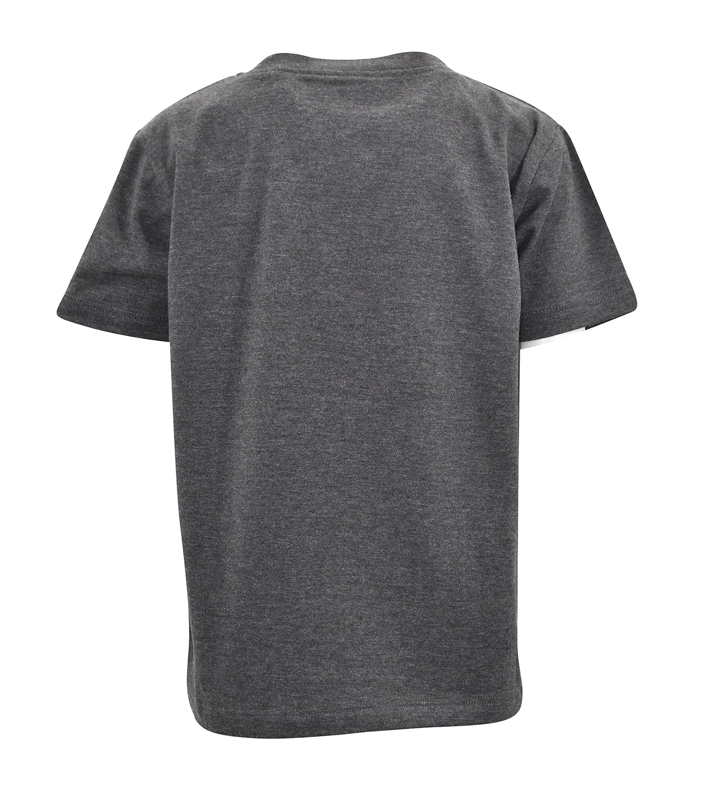 Unique Baby Boys Toddler Halloween Fall Autumn Pumpkin Patch Dude Tshirt (10, Gray)