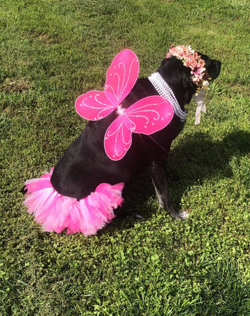 Fairy Wings For Girls, Girls Butterfly Fairy Wings Fairy Costumes Sparkle Fairy Princess Angel Wings Cosplay Christmas Halloween