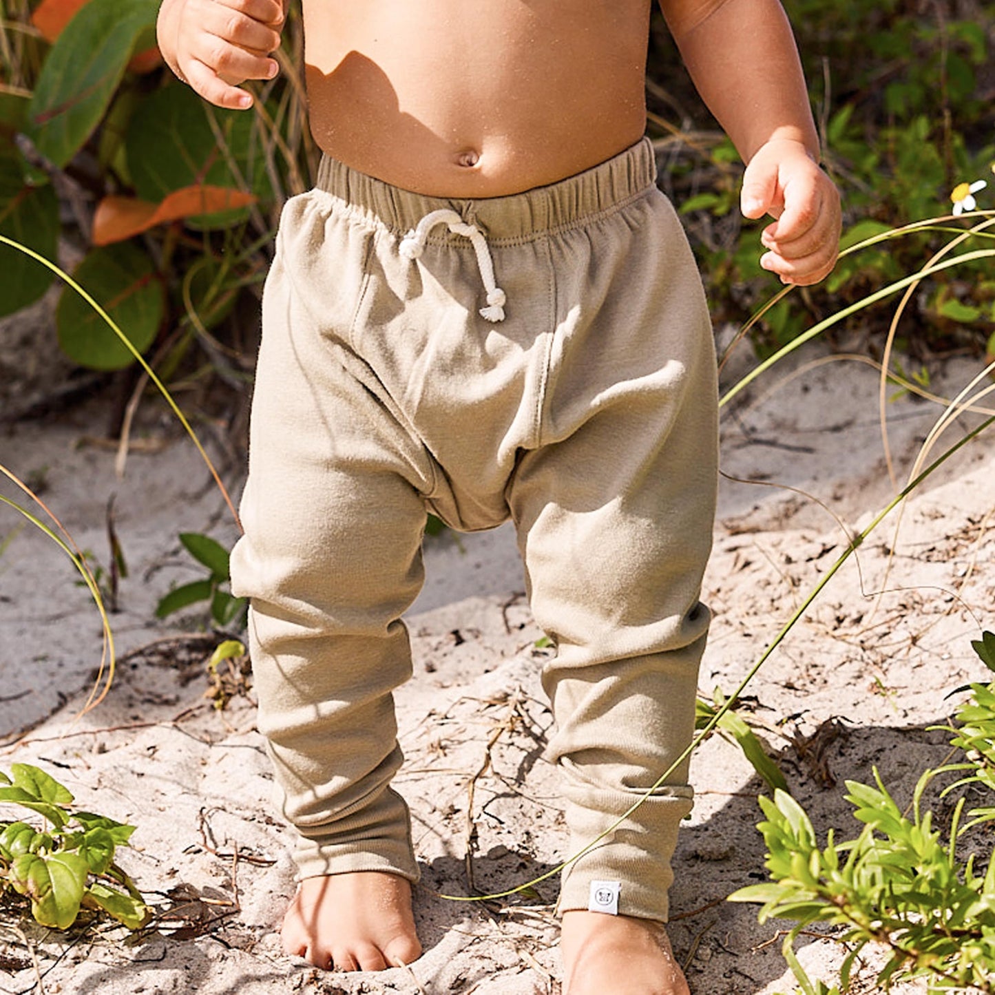 Honestbaby Multipack Honest Pants Joggers Pull On 100% Organic Cotton For Infant Baby And Toddler, Boys, Girls, Unisex, Zanzibar